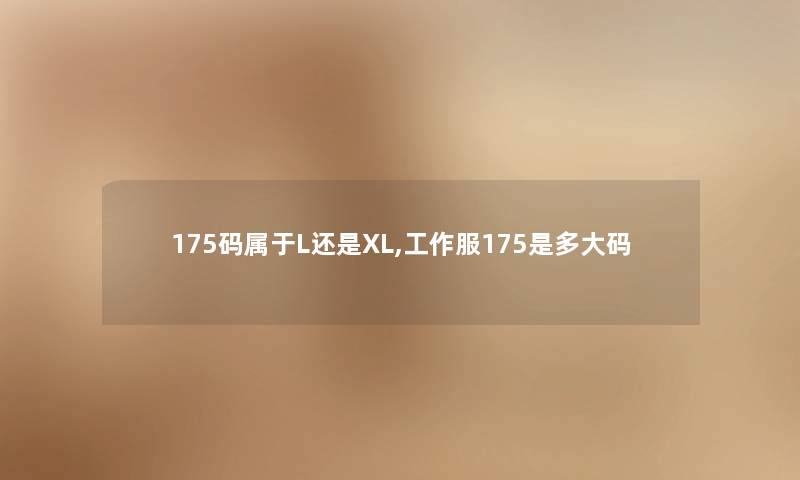 175码属于L还是XL,工作服175是多大码
