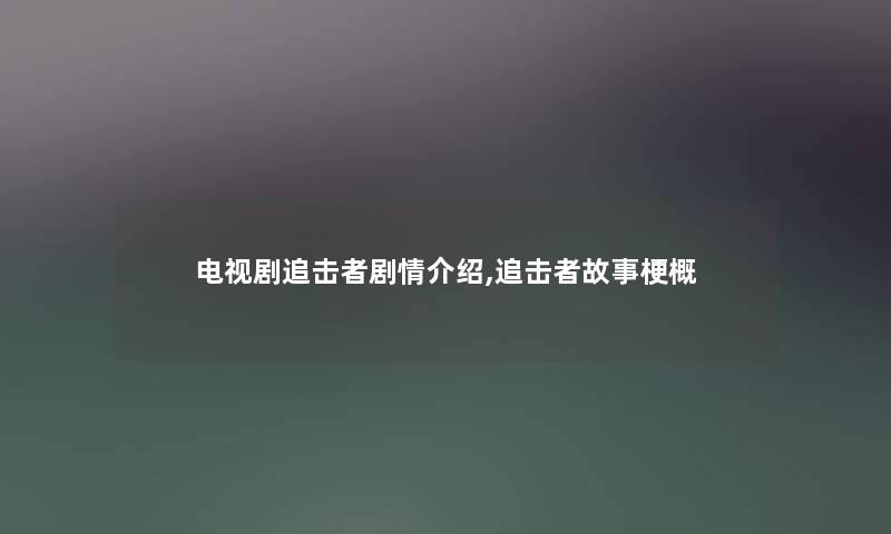 电视剧追击者剧情介绍,追击者故事梗概
