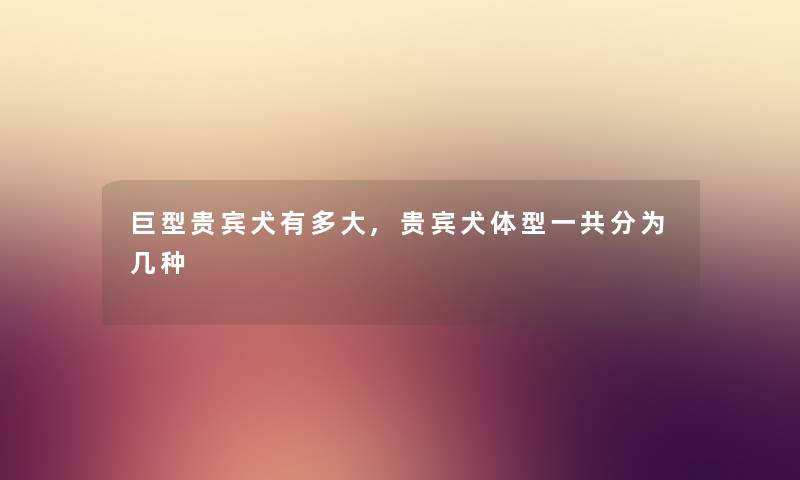 巨型贵宾犬有多大,贵宾犬体型一共分为几种