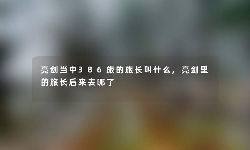 亮剑当中386旅的旅长叫什么,亮剑里的旅长后来去哪了