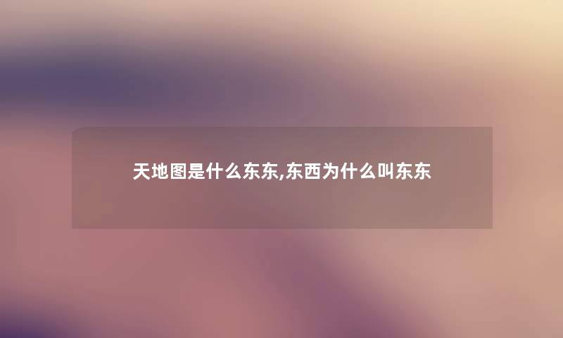 天地图是什么东东,东西为什么叫东东