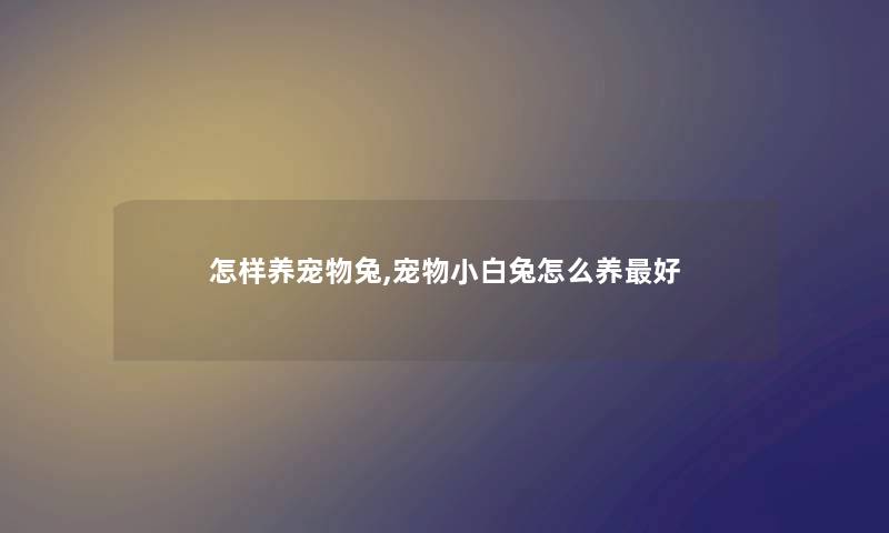 怎样养宠物兔,宠物小白兔怎么养好
