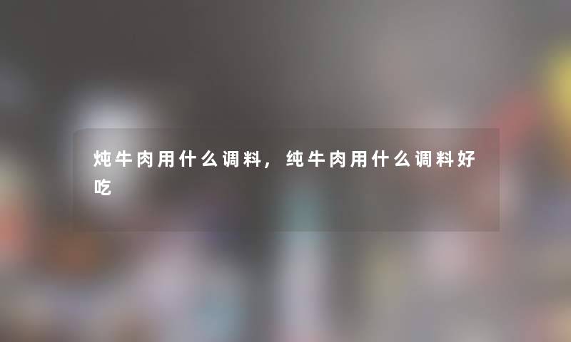 炖牛肉用什么调料,纯牛肉用什么调料好吃