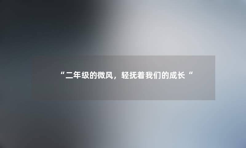 二年级的微风，轻抚着我们的成长