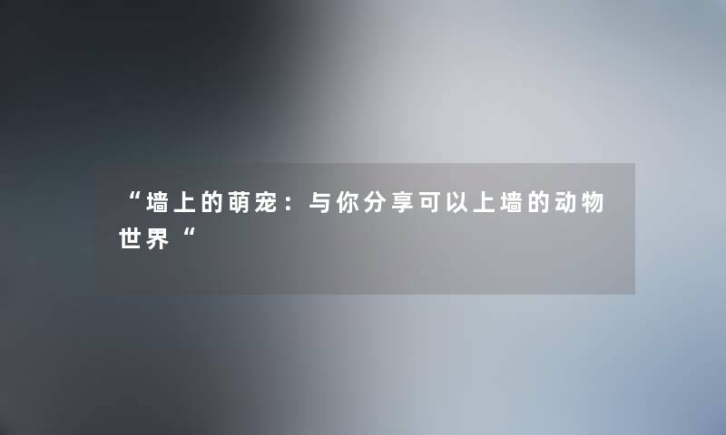 墙上的萌宠：与你分享可以上墙的动物世界
