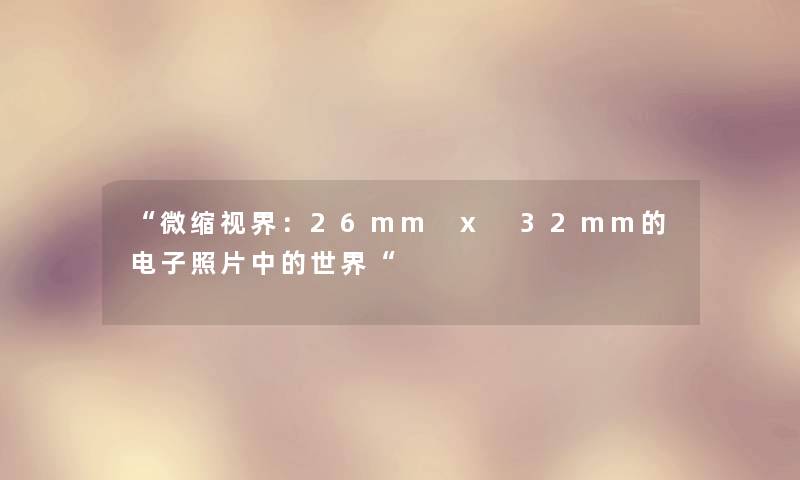 微缩视界：26mm x 32mm的电子照片中的世界