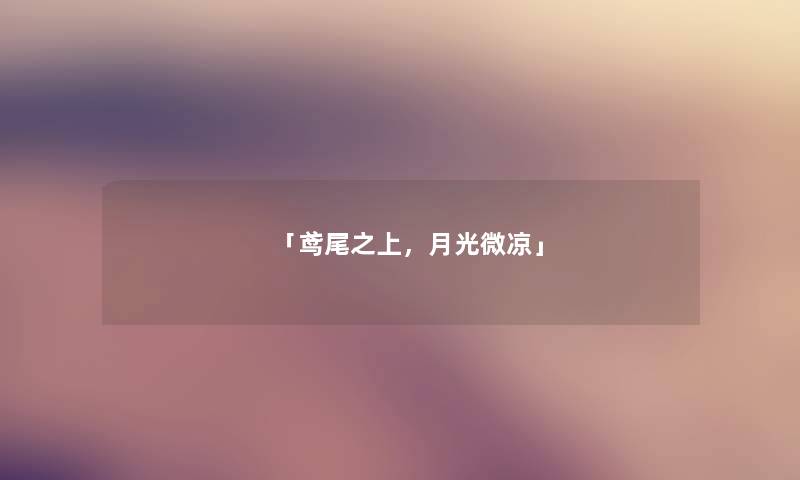 「鸢尾之上，月光微凉」