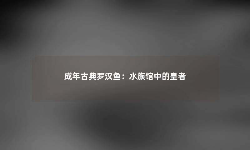 成年古典罗汉鱼：水族馆中的皇者