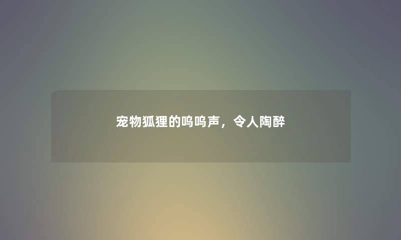 宠物狐狸的呜呜声，令人陶醉
