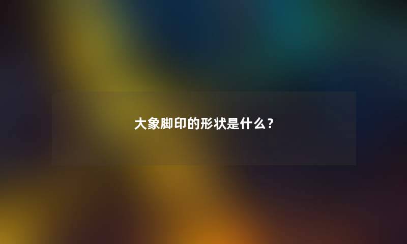 大象脚印的形状是什么？