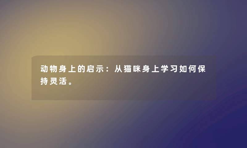 动物身上的启示：从猫咪身上学习如何保持灵活。