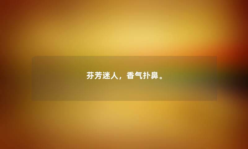 芬芳迷人，香气扑鼻。
