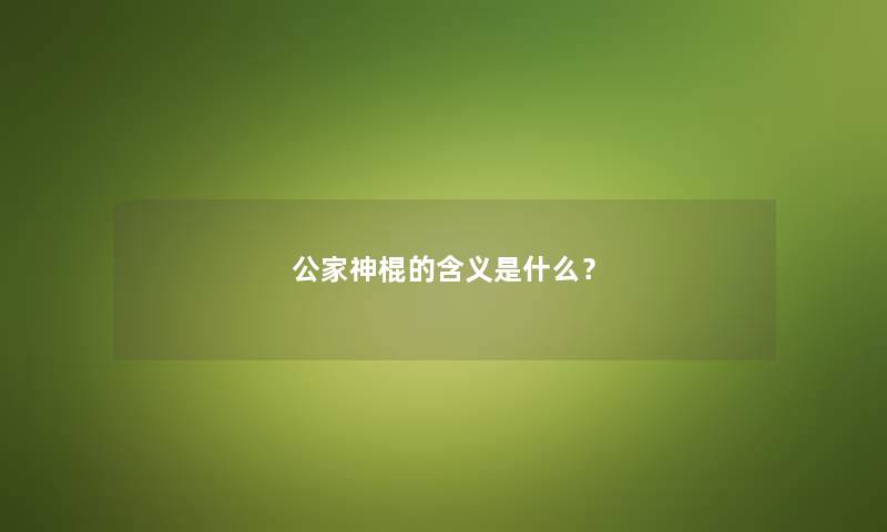 公家神棍的含义是什么？