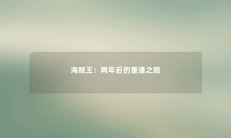 海贼王：两年后的重逢之路