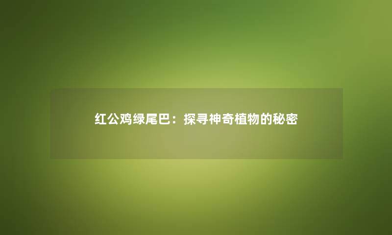 红公鸡绿尾巴：探寻神奇植物的秘密