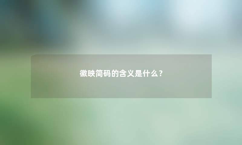 徽映简码的含义是什么？