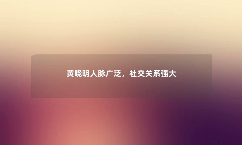 黄晓明人脉广泛，社交关系强大