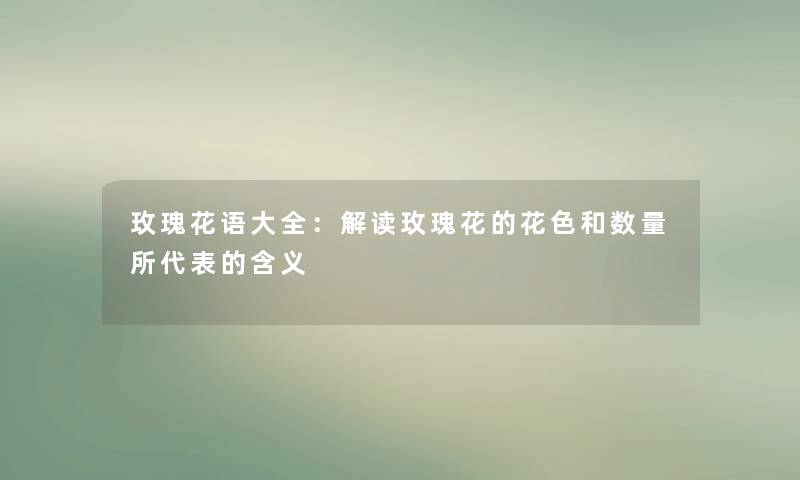 玫瑰花语大全：解读玫瑰花的花色和数量所代表的含义