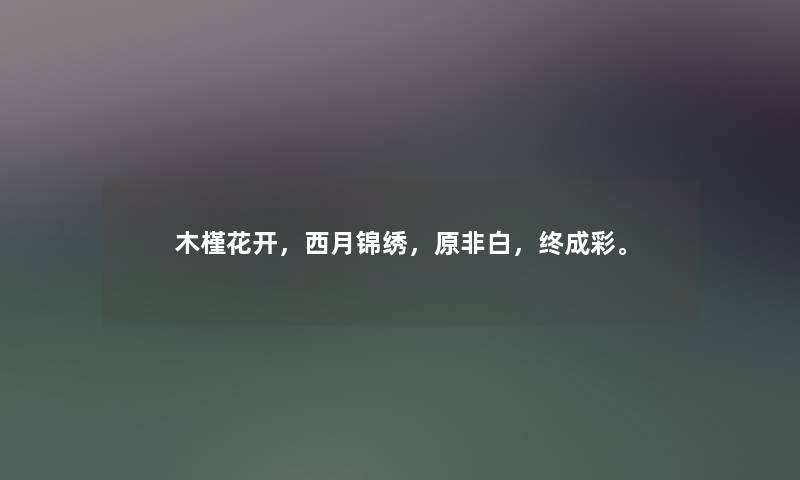 木槿花开，西月锦绣，原非白，终成彩。
