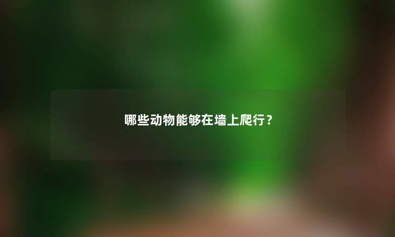 哪些动物能够在墙上爬行？