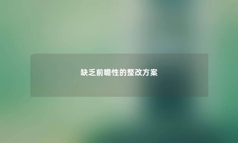 缺乏前瞻性的整改方案