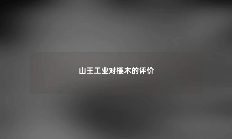山王工业对樱木的评价