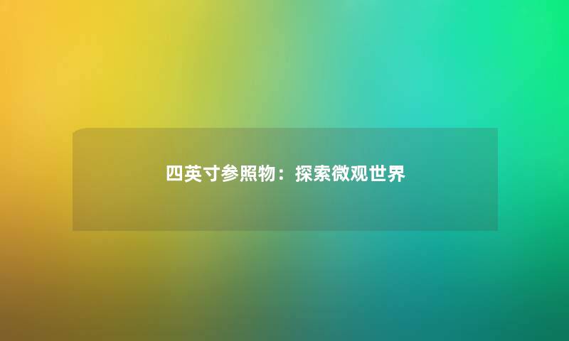 四英寸参照物：探索微观世界
