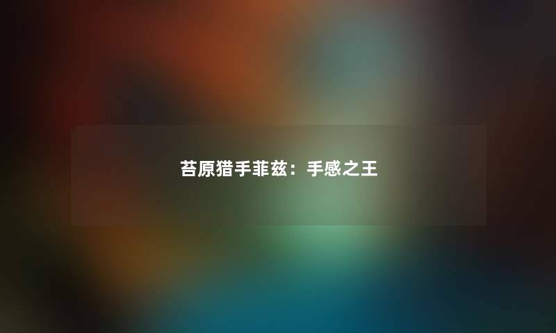 苔原猎手菲兹：手感之王