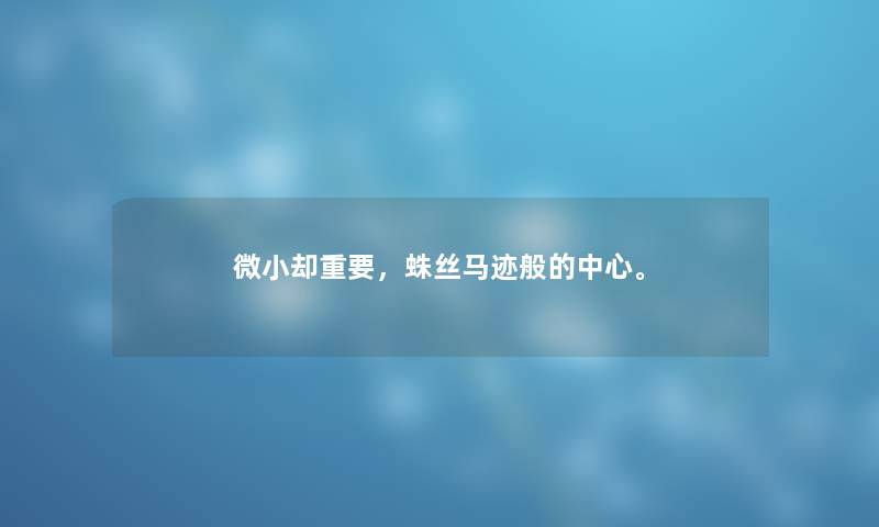 微小却重要，蛛丝马迹般的中心。