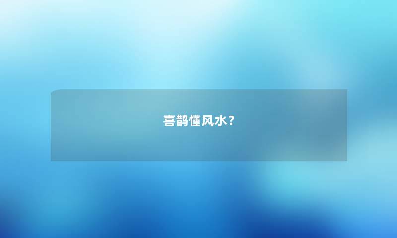 喜鹊懂风水？