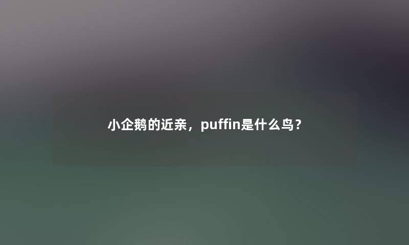 小企鹅的近亲，puffin是什么鸟？