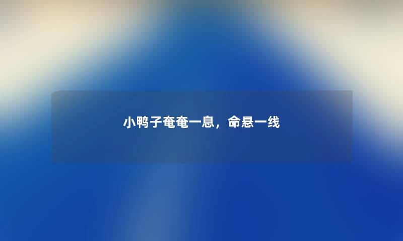 小鸭子奄奄一息，命悬一线