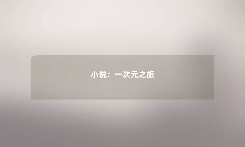 小说：一次元之旅