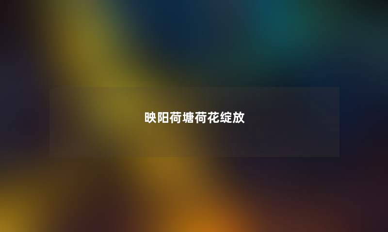 映阳荷塘荷花绽放