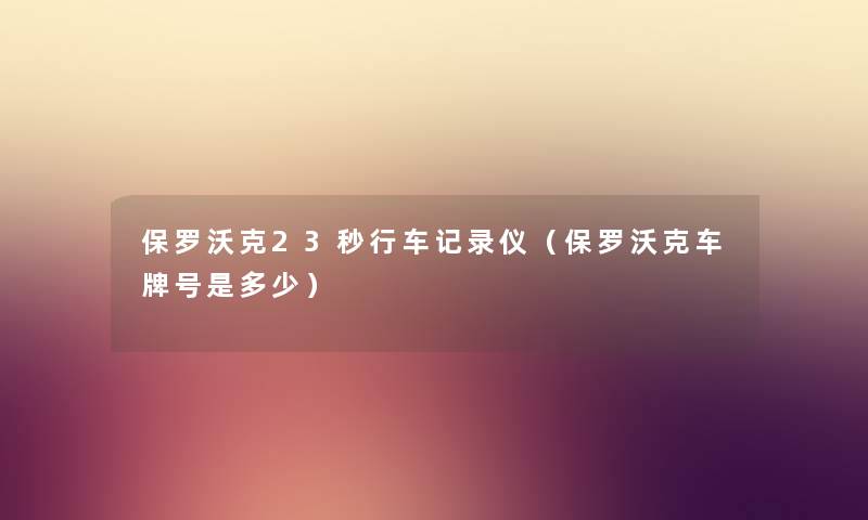 保罗沃克23秒行车记录仪（保罗沃克车牌号是多少）