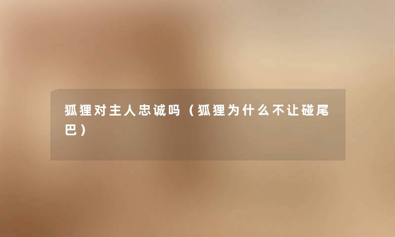 狐狸对主人忠诚吗（狐狸为什么不让碰尾巴）