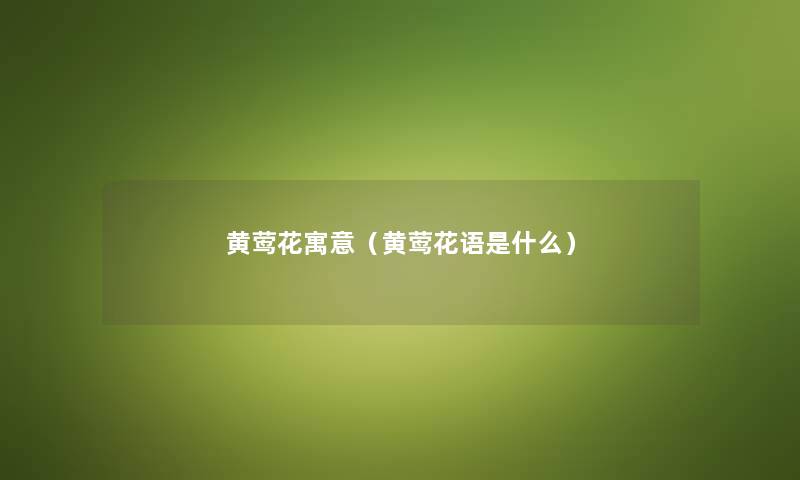 黄莺花寓意（黄莺花语是什么）