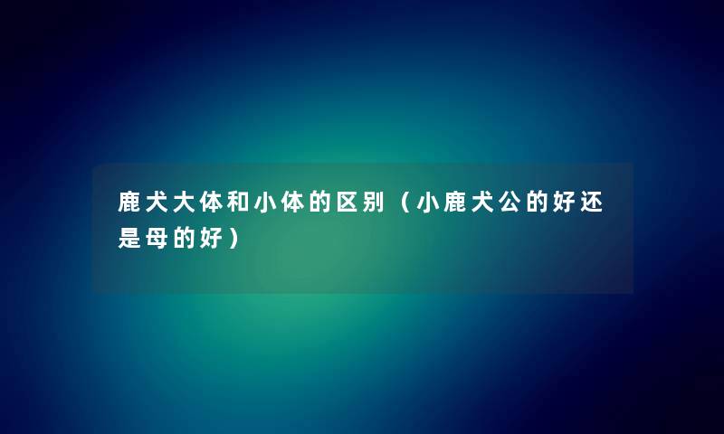 鹿犬大体和小体的区别（小鹿犬公的好还是母的好）