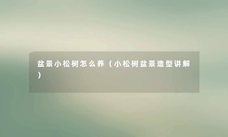 盆景小松树怎么养（小松树盆景造型讲解）