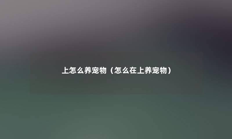 上怎么养宠物（怎么在上养宠物）