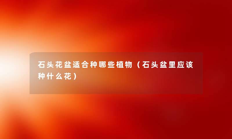 石头花盆适合种哪些植物（石头盆里应该种什么花）