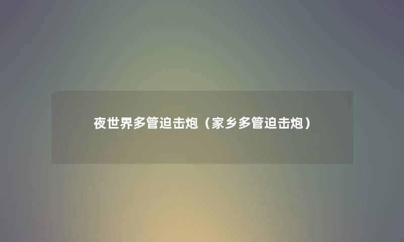 夜世界多管迫击炮（家乡多管迫击炮）