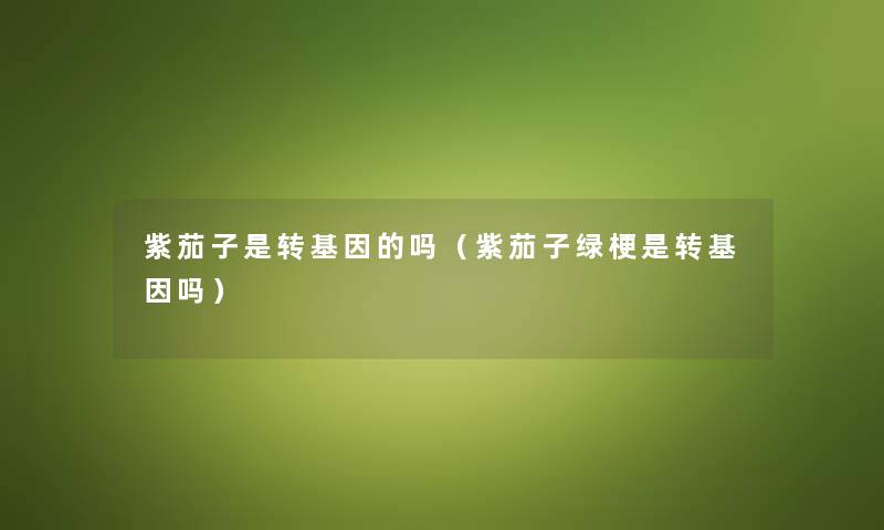 紫茄子是转基因的吗（紫茄子绿梗是转基因吗）