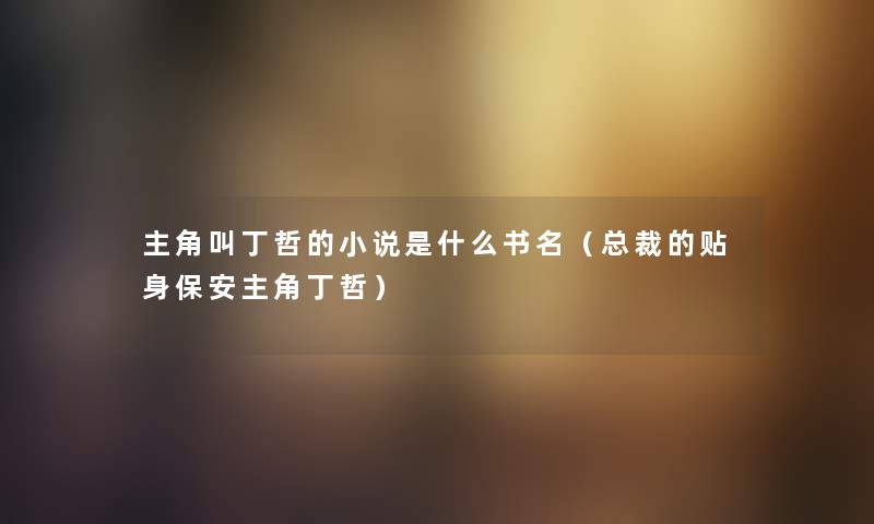 主角叫丁哲的小说是什么书名（总裁的贴身保安主角丁哲）