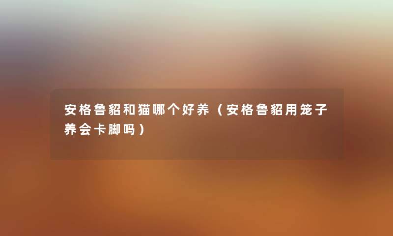 安格鲁貂和猫哪个好养（安格鲁貂用笼子养会卡脚吗）