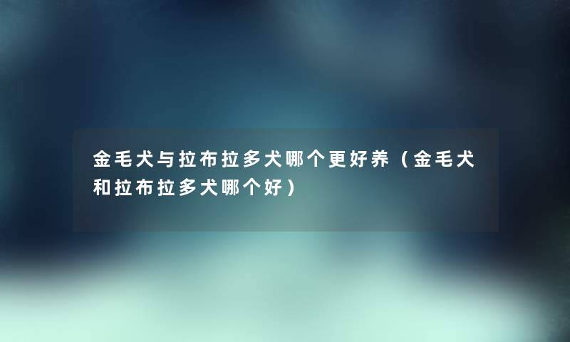 金毛犬与拉布拉多犬哪个更好养（金毛犬和拉布拉多犬哪个好）