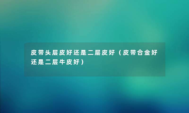 皮带头层皮好还是二层皮好（皮带合金好还是二层牛皮好）