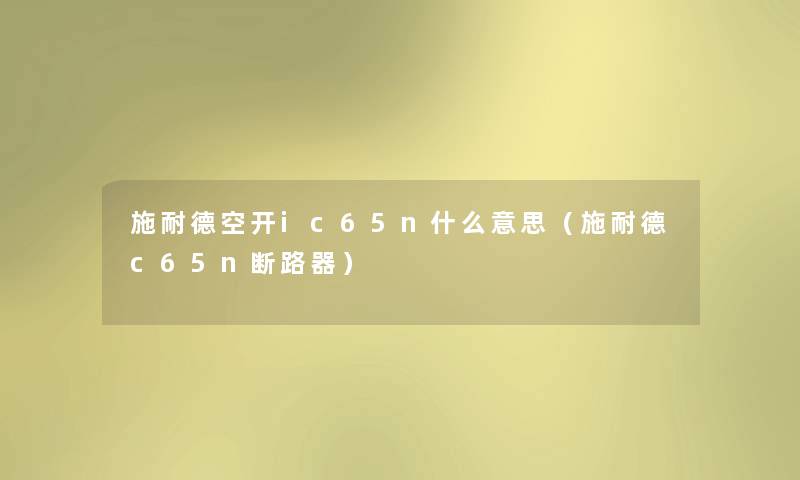 施耐德空开ic65n什么意思（施耐德c65n断路器）