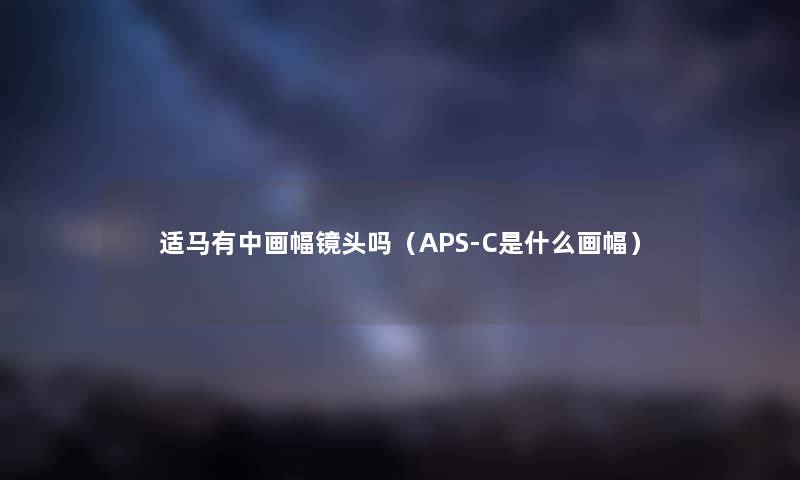 适马有中画幅镜头吗（APS-C是什么画幅）