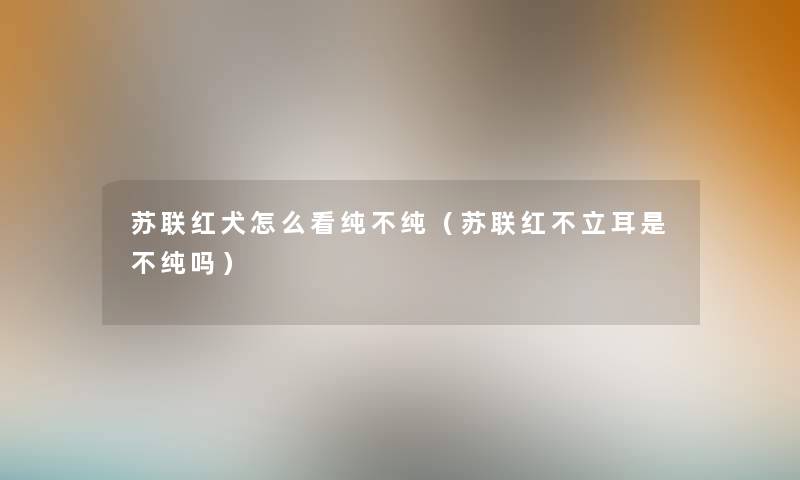 苏联红犬怎么看纯不纯（苏联红不立耳是不纯吗）